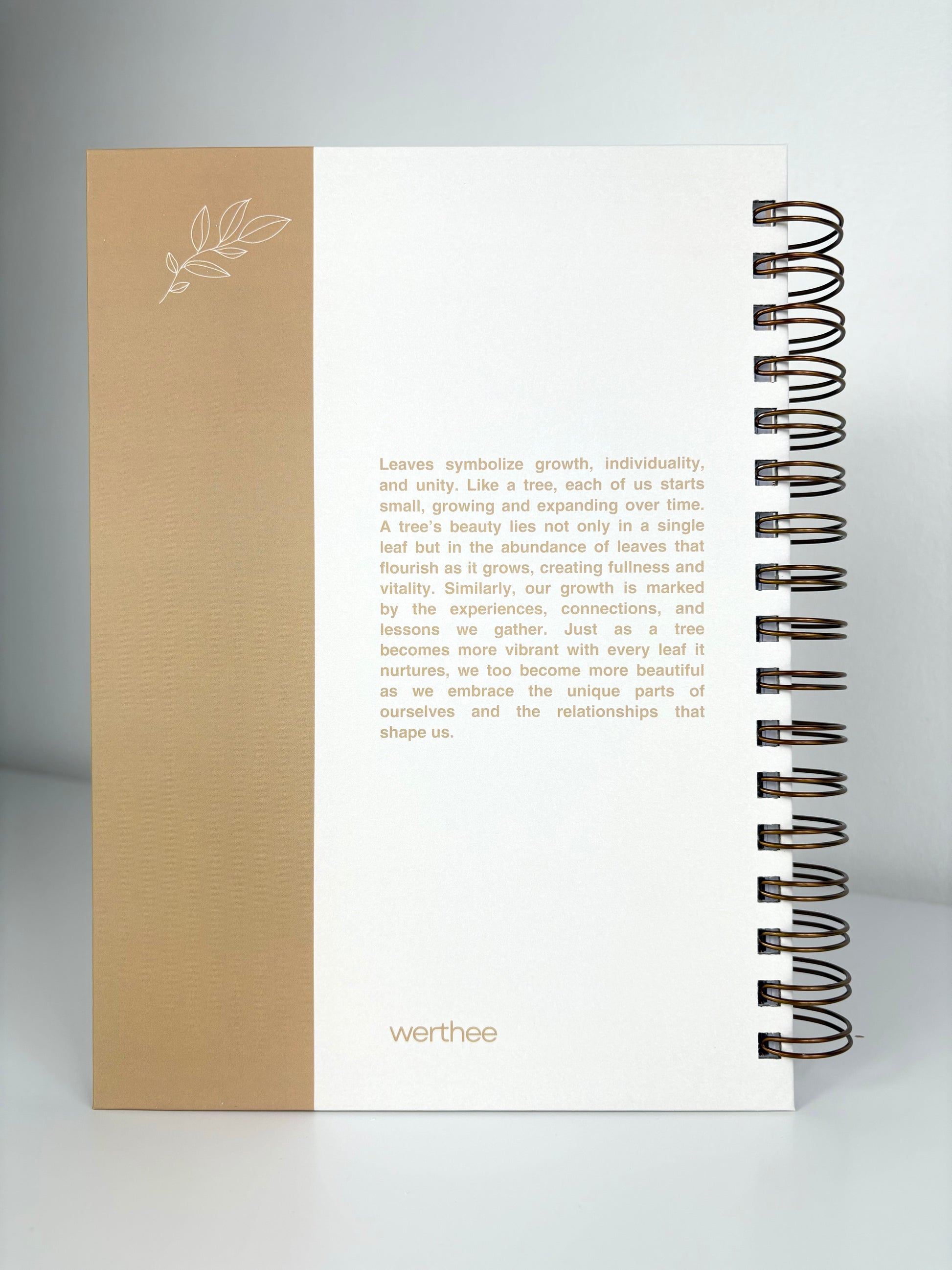 The Clarity Companion - 3 Month Daily Planner