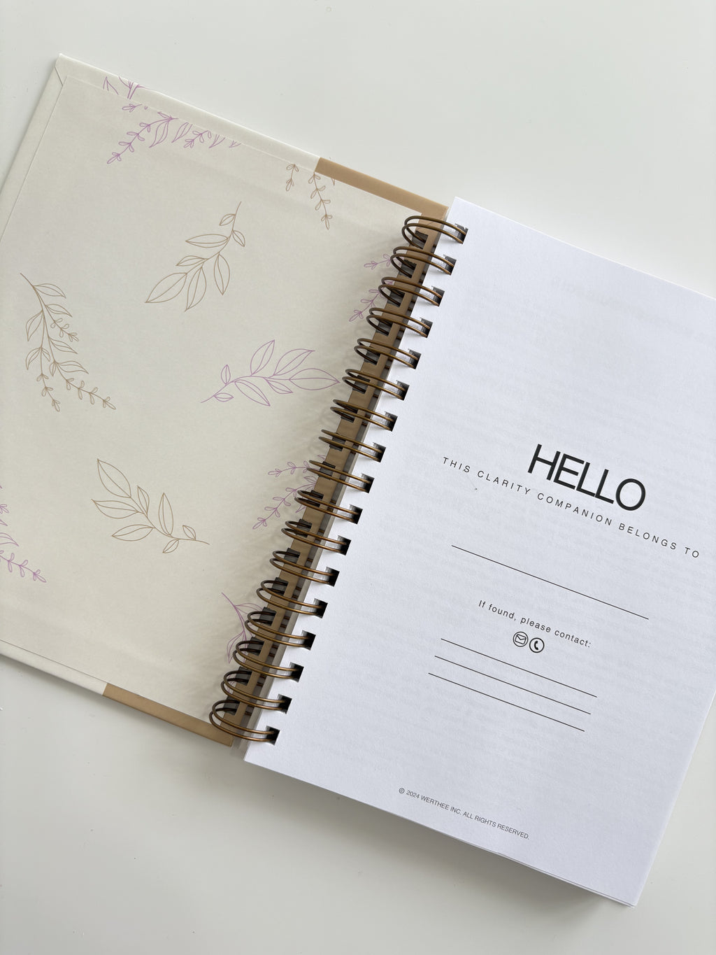 The Clarity Companion - 3 Month Daily Planner