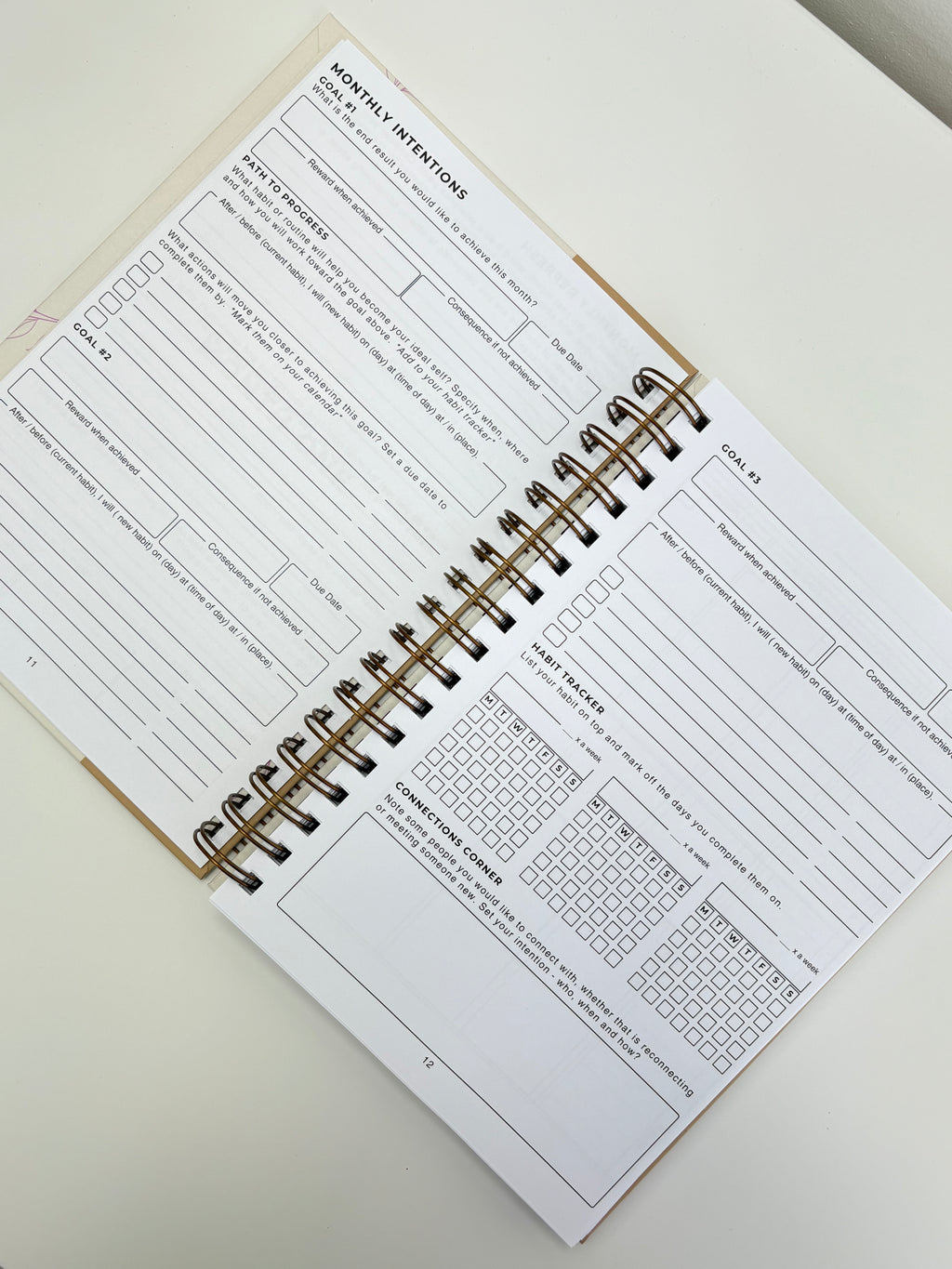 The Clarity Companion - 3 Month Daily Planner