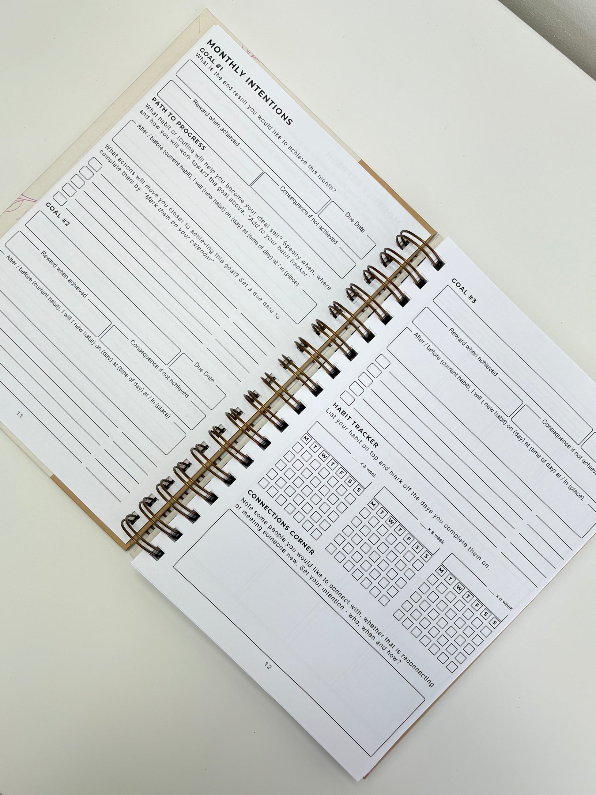 The Clarity Companion - 3 Month Daily Planner