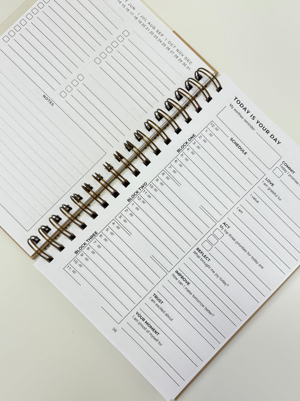 The Clarity Companion - 3 Month Daily Planner