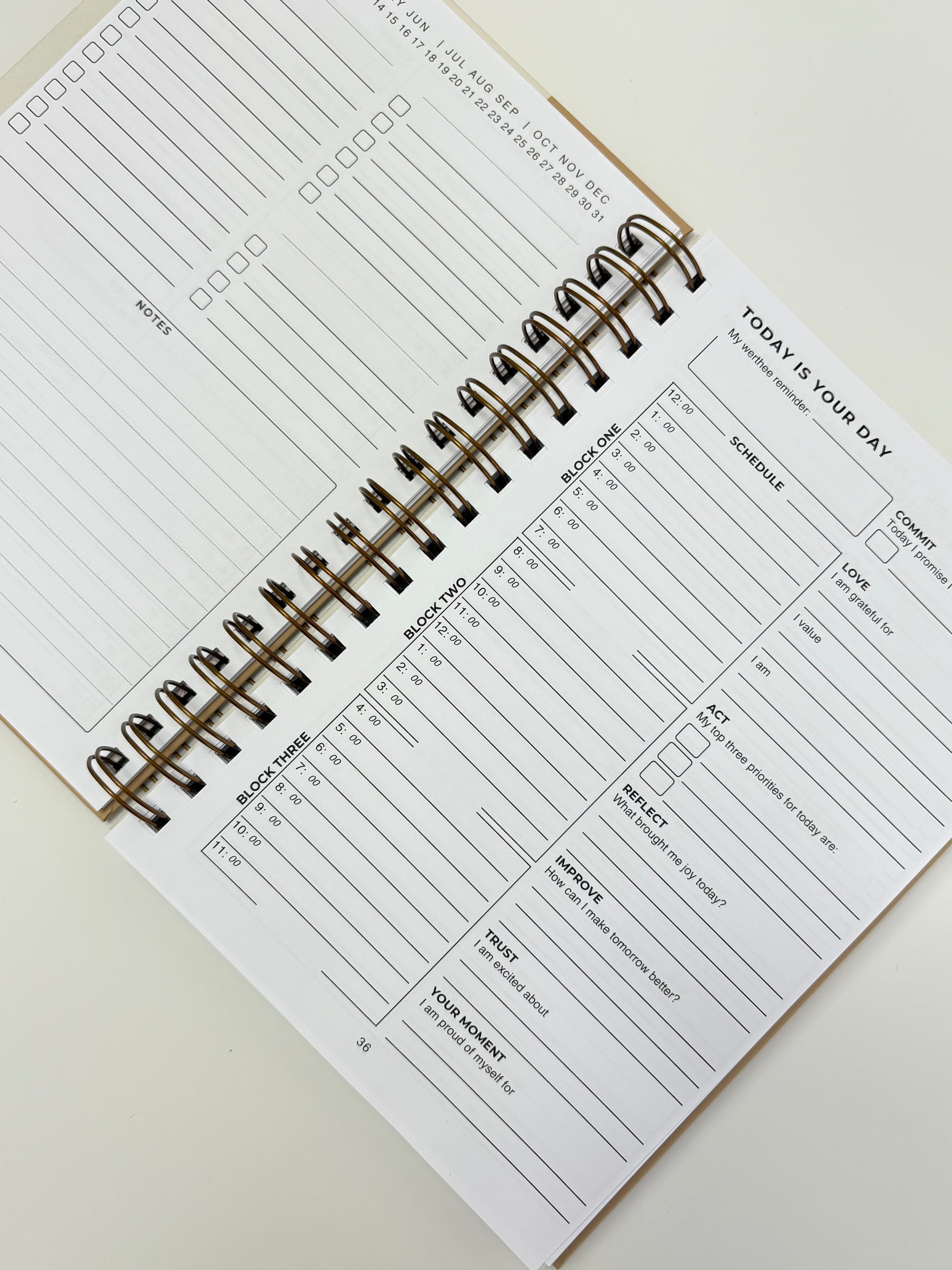 The Clarity Companion - 3 Month Daily Planner