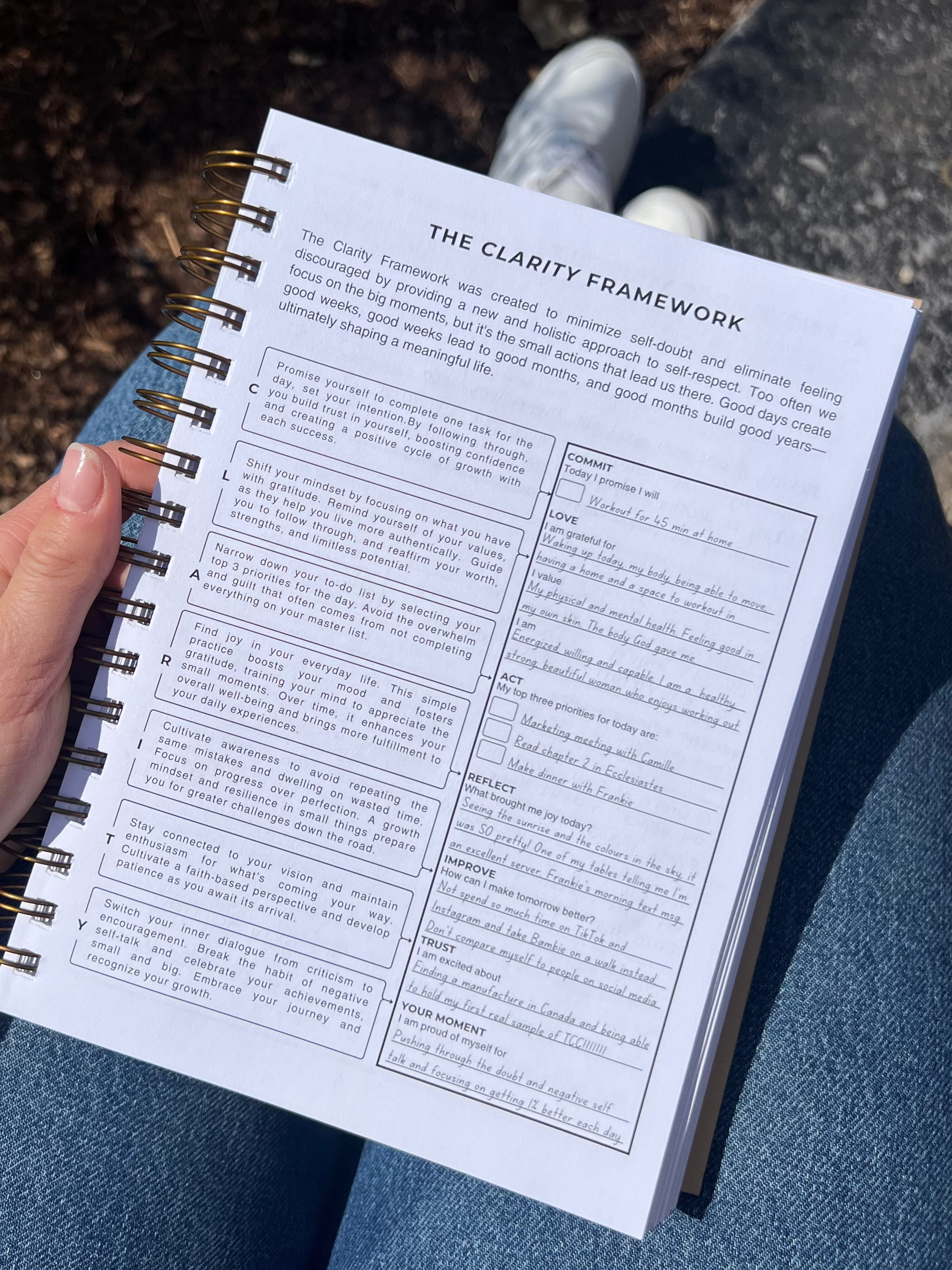 The Clarity Companion - 3 Month Daily Planner