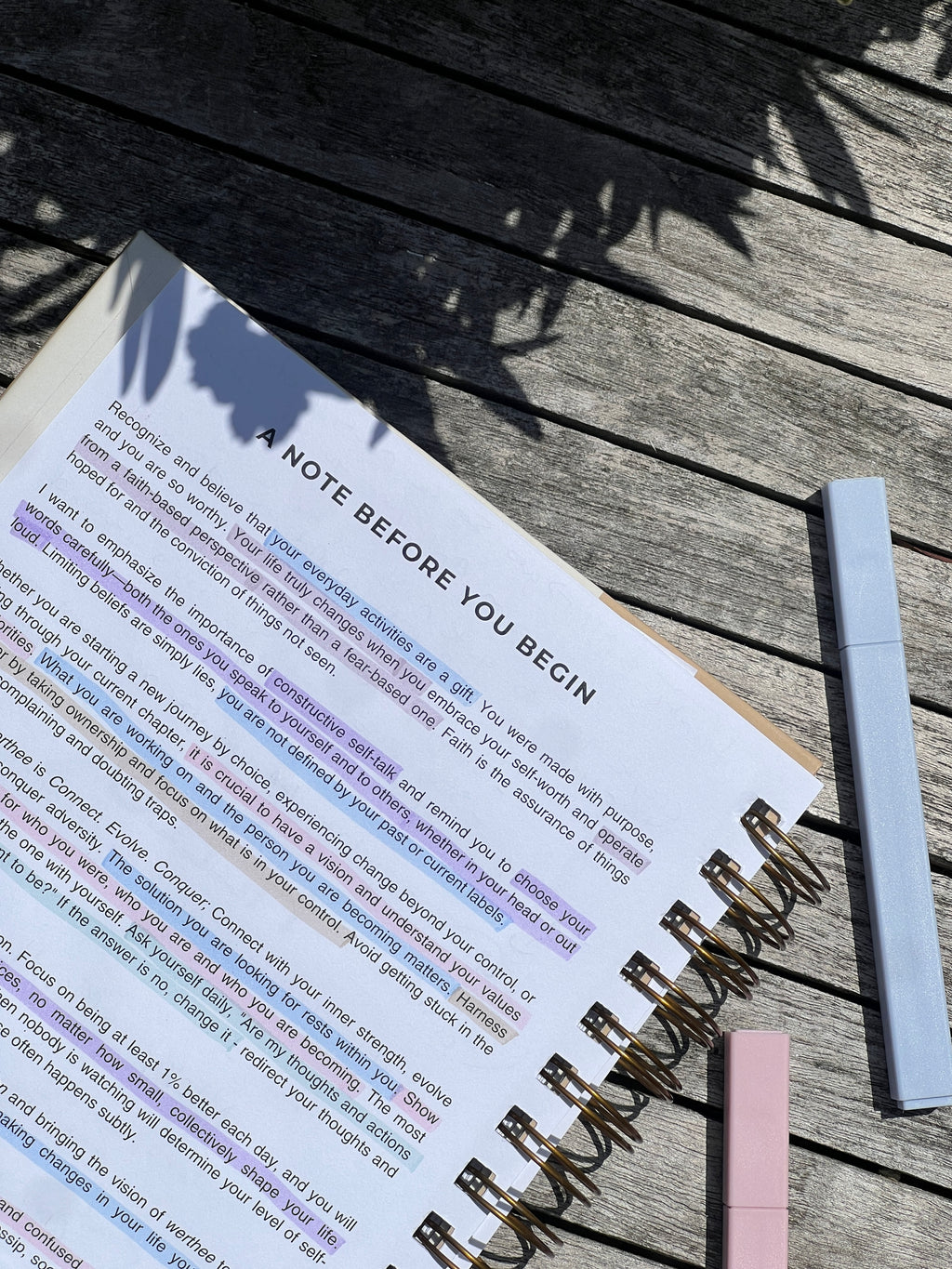 The Clarity Companion - 3 Month Daily Planner