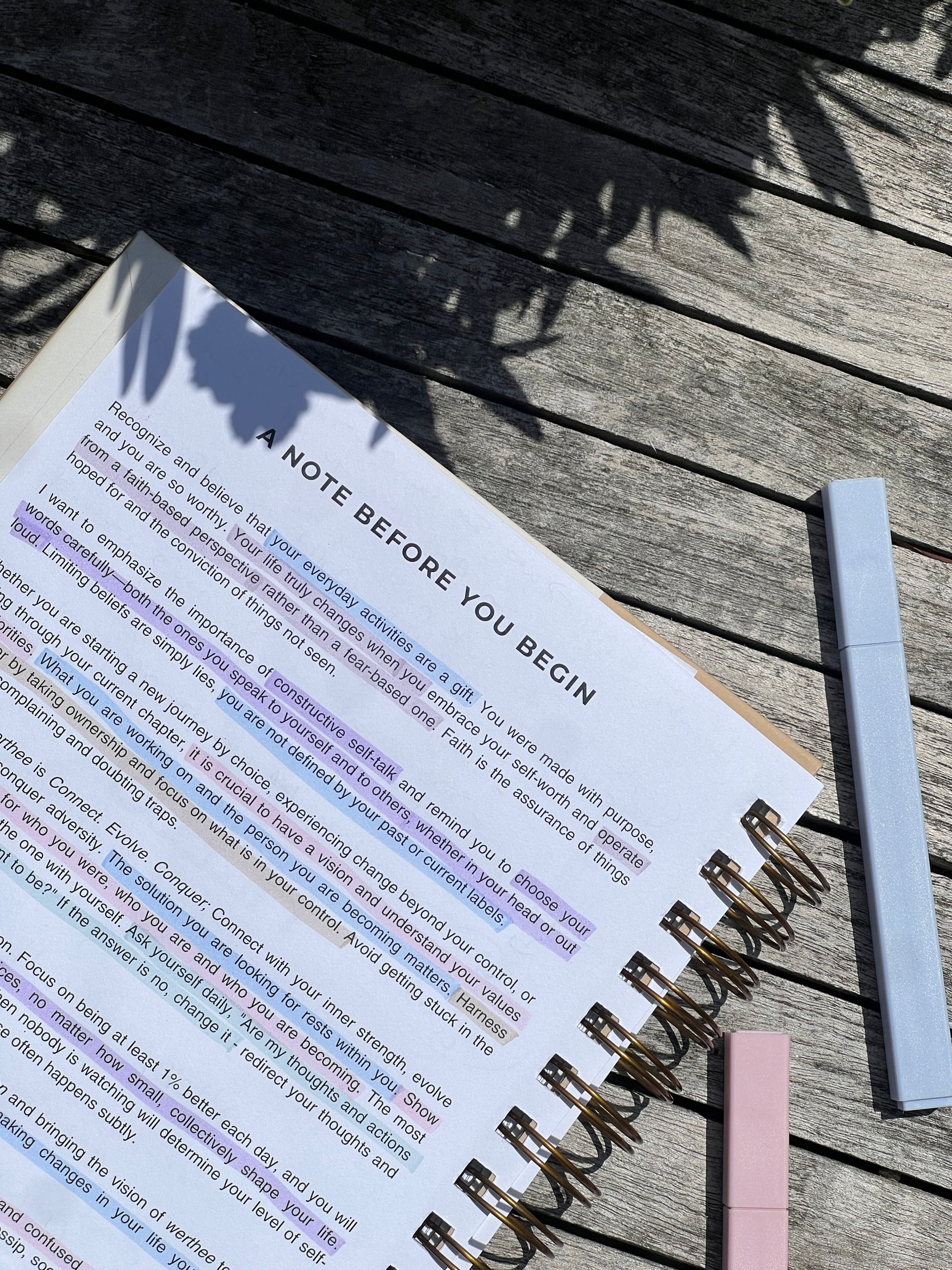 The Clarity Companion - 3 Month Daily Planner