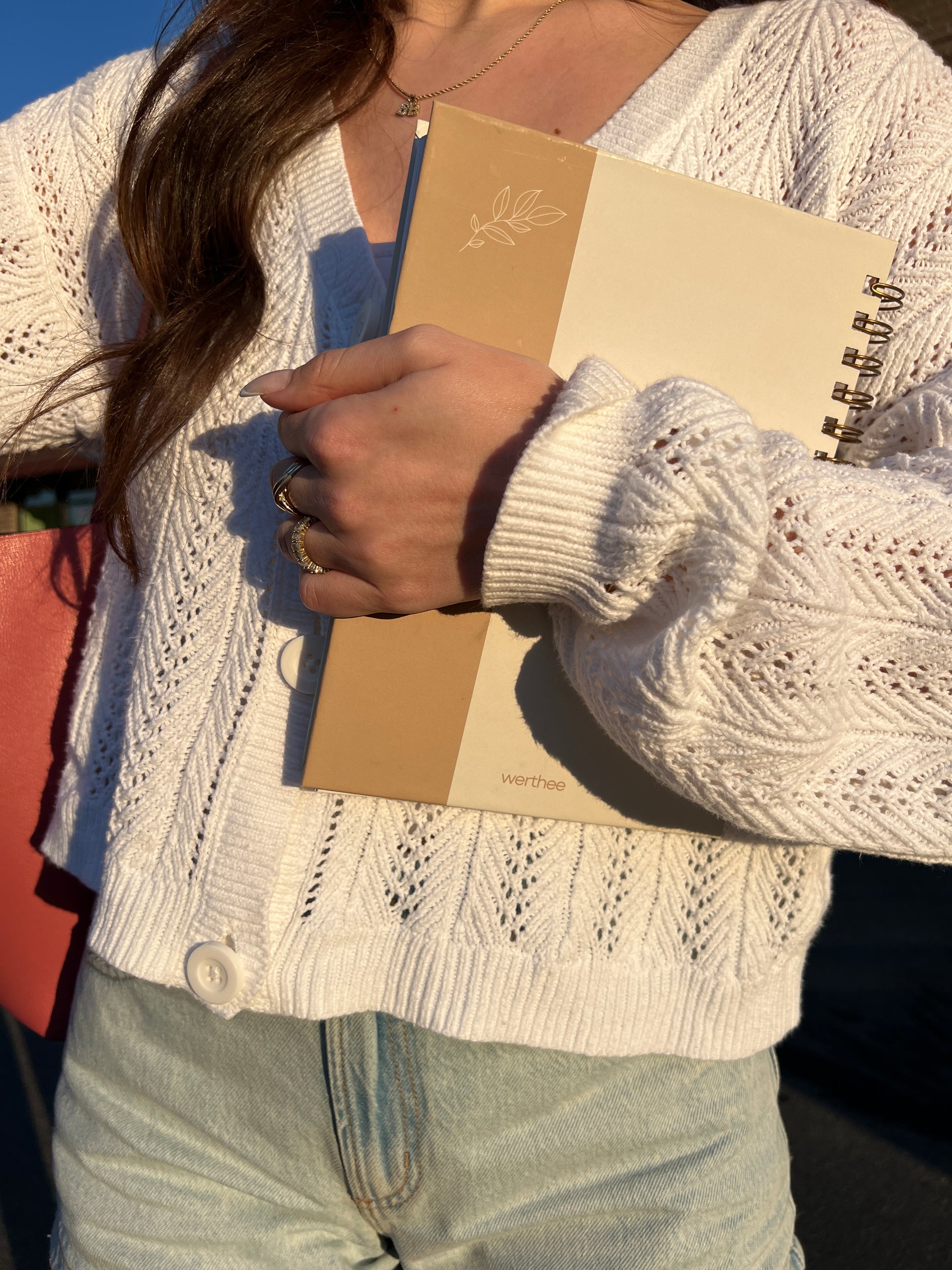 The Clarity Companion - 3 Month Daily Planner